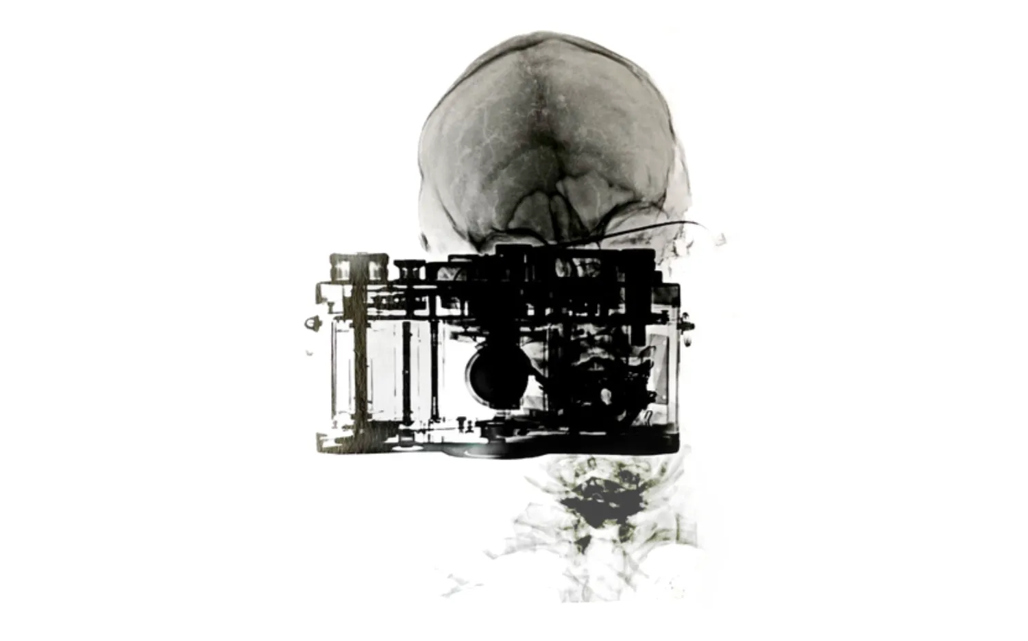 X-Ray Project, radiographies d’appareils photographiques par Pascal Baudry
