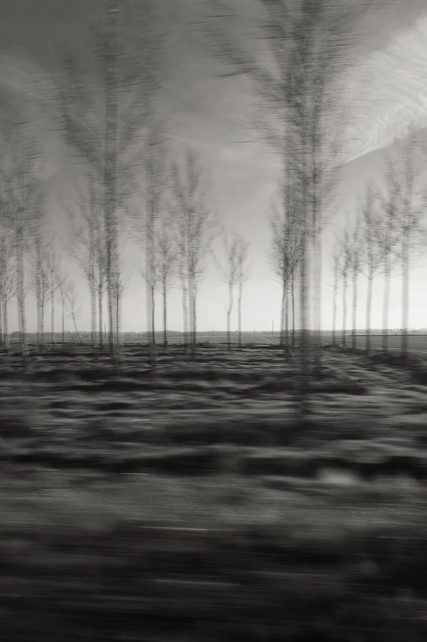 Photographie de Pauline Corto — image 08